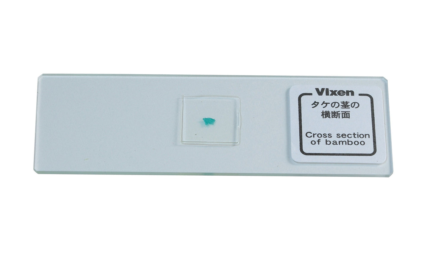 Vixen Prepared Slide Set – 24 Prepared Microscope Slides (ES‑24029)