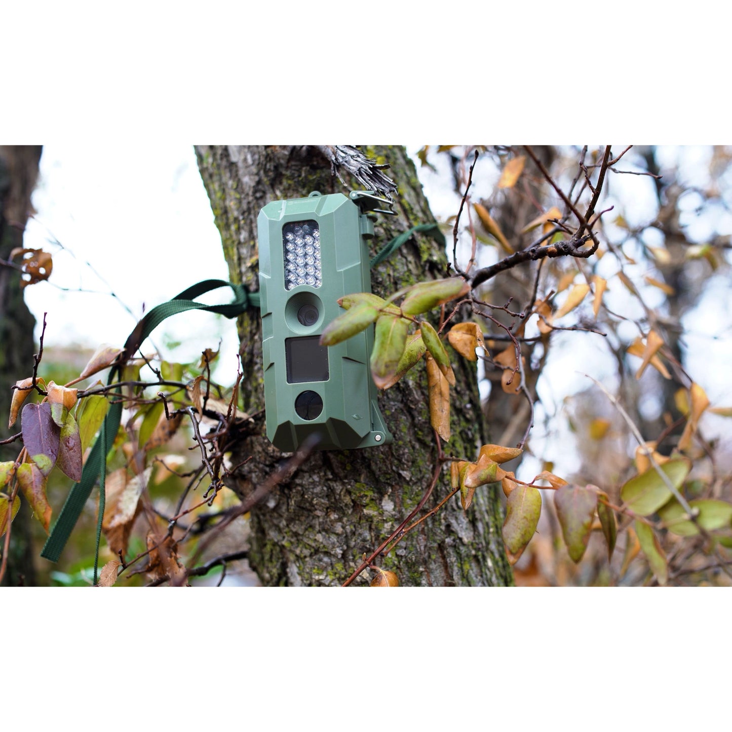 5 Megapixel Trail Camera (4 Pack)