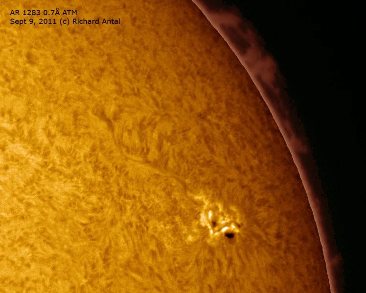 Real world hydrogen alpha solar view through DayStar Quantum H-Alpha 0.7 angstrom PE solar filter .7QPE revealing bright solar prominences solar filaments chromospheric network calcium bright points and fine solar surface detail demonstrating the impressive bright and comfortable high contrast narrow bandpass hydrogen alpha solar viewing and imaging performance that serious and advanced solar observers can expect from the .7QPE filter — Telescope Wolves