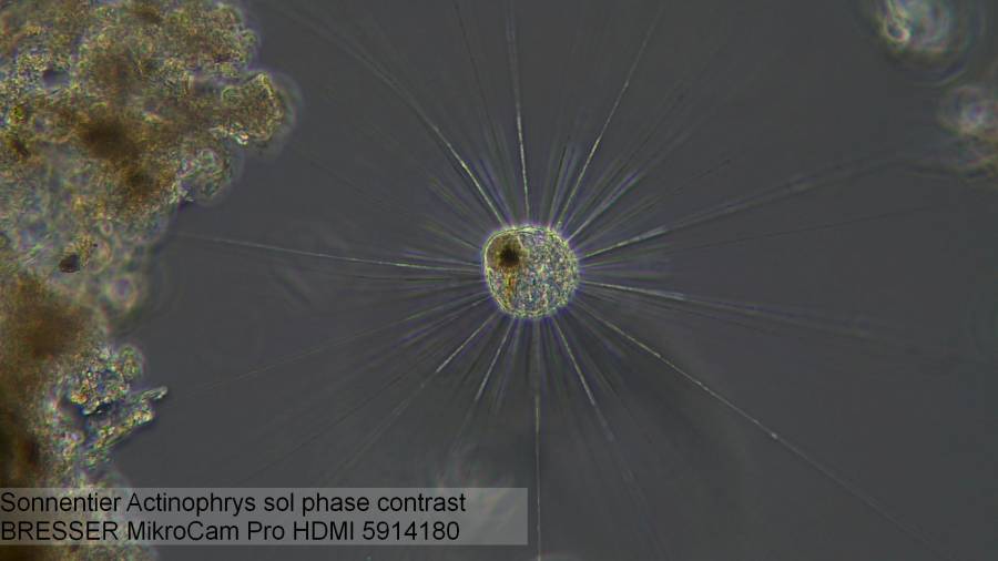 Explore Scientific MicroCam PRO HDMI 59-14180