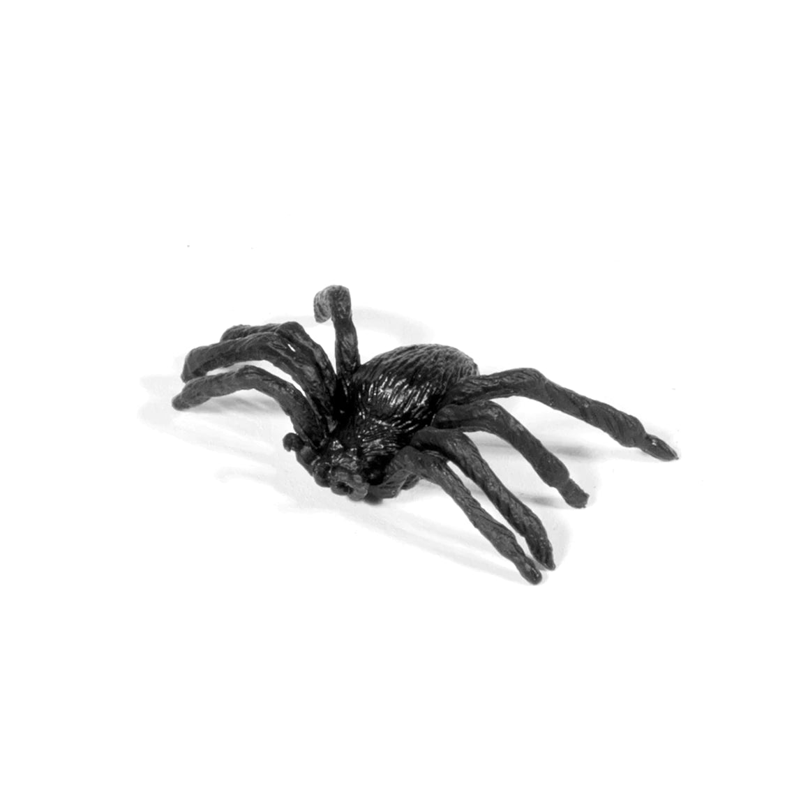 plastic toy spider Explore One 2x/4x Magnifier Habitat Jar 88-30001