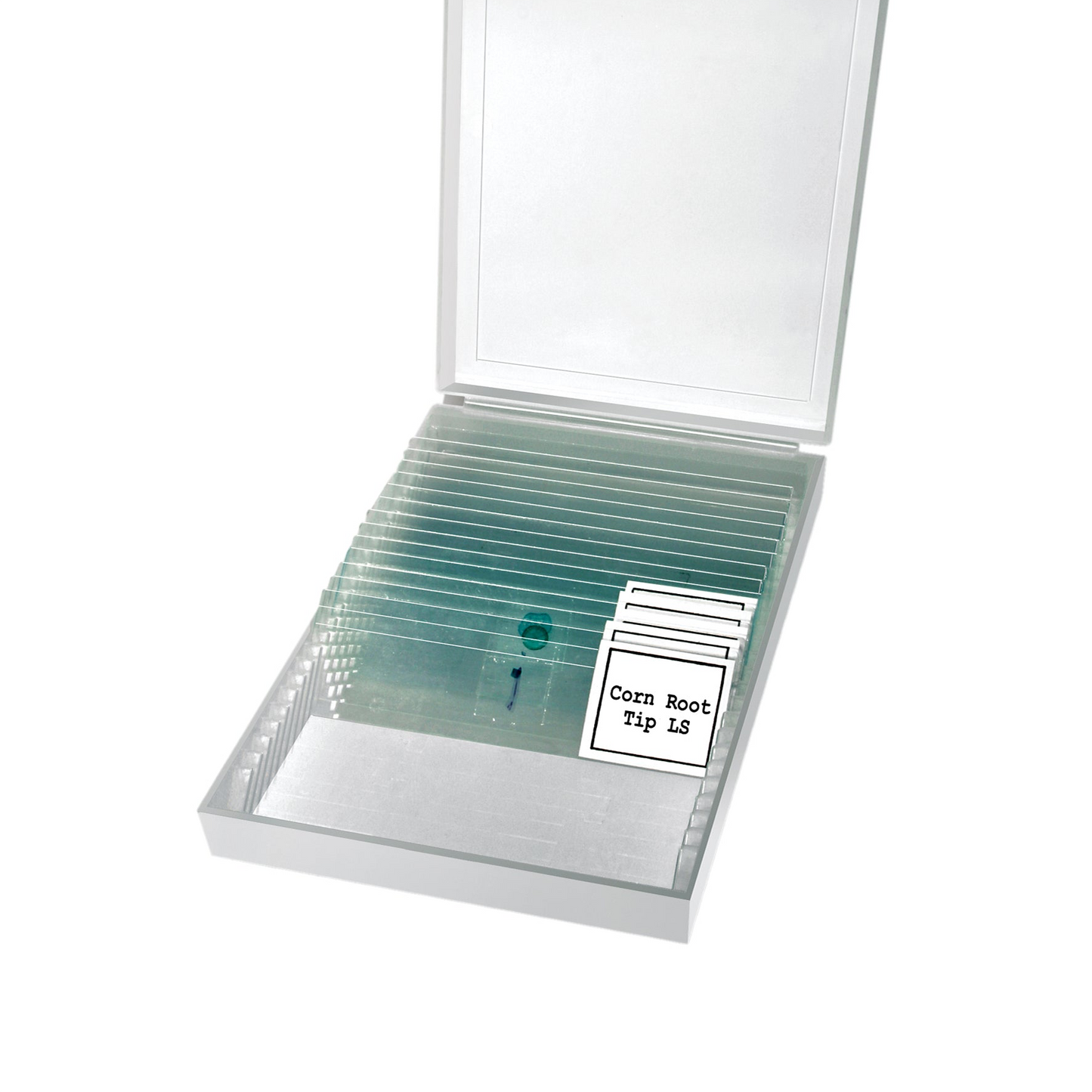 Erudit Basic Bino 40x-400x Microscope