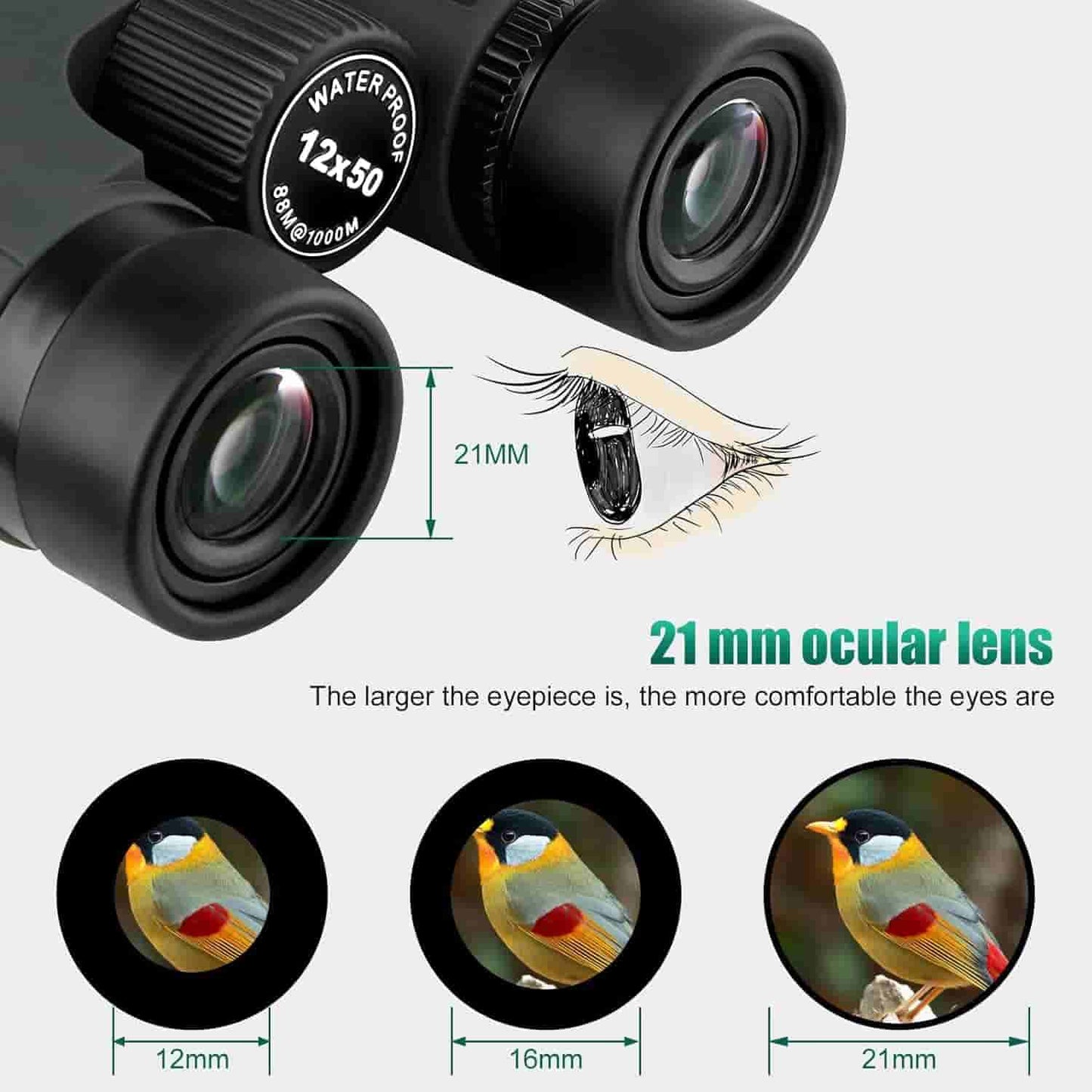 SA203 12x50 Binocular with IPX7 Waterproof and Bak-4 Prism
