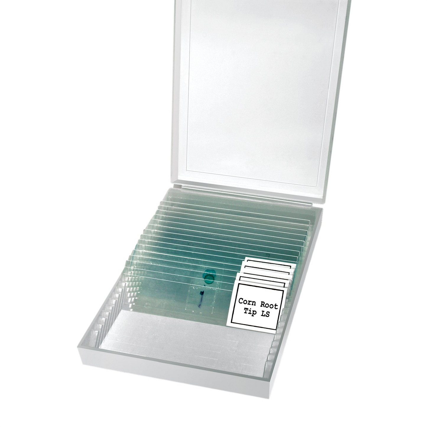 Erudit Basic Mono 40x-400x Microscope