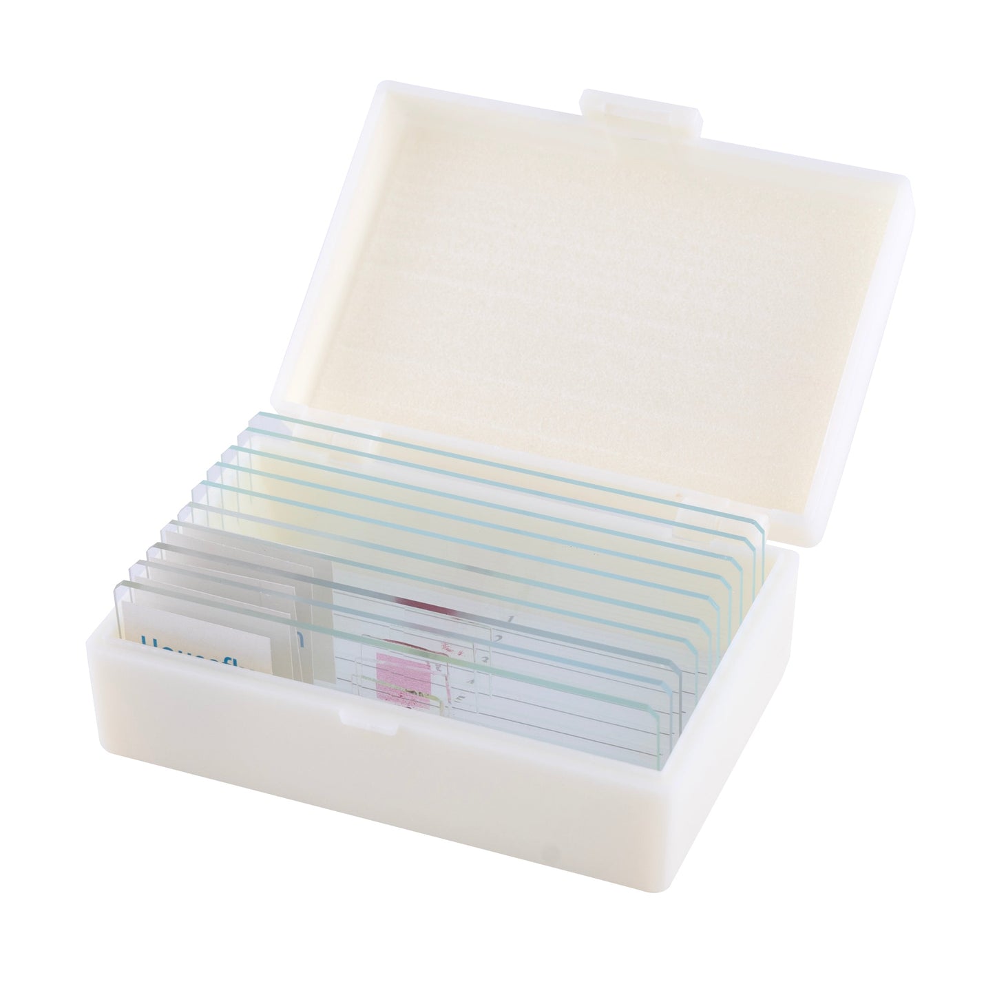 Explore Scientific 21x-840x Digital Microscope with 4.3-inch LCD Touchscreen and Integrated Camera 80-10302