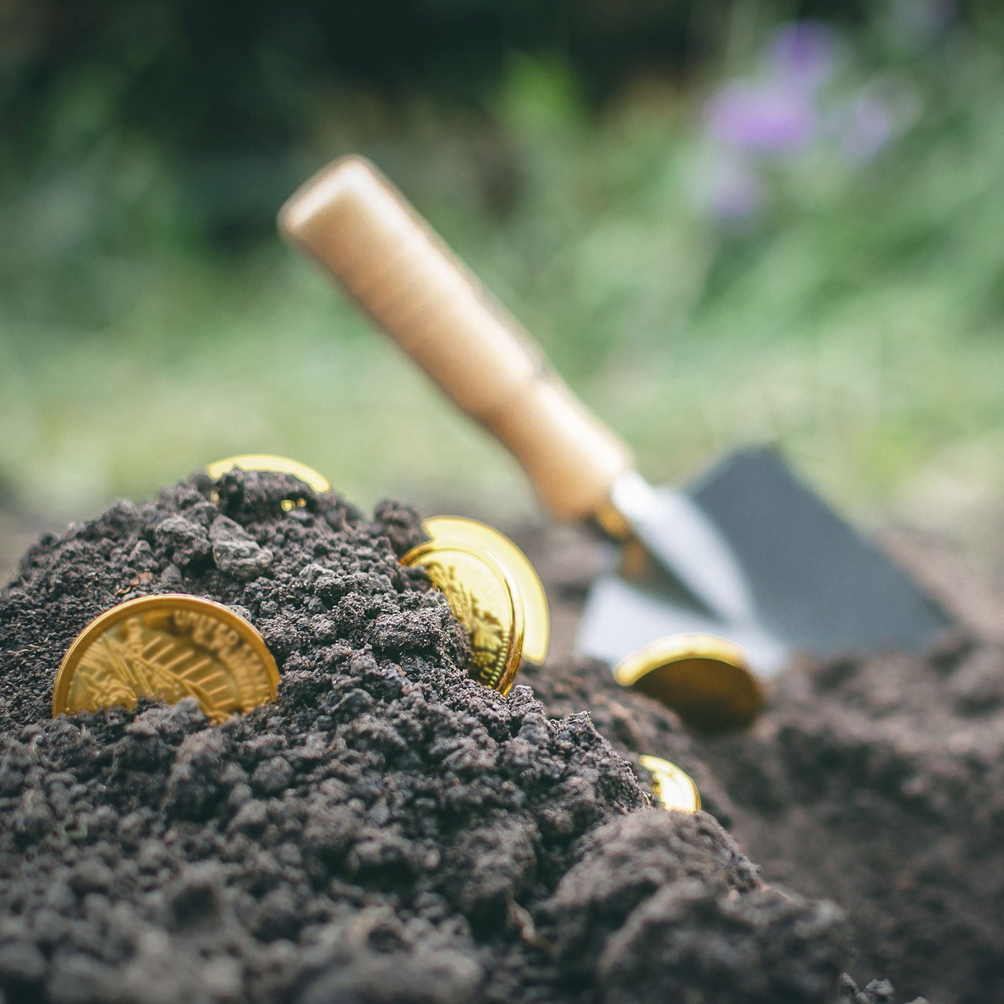 Underwater Metal Detector