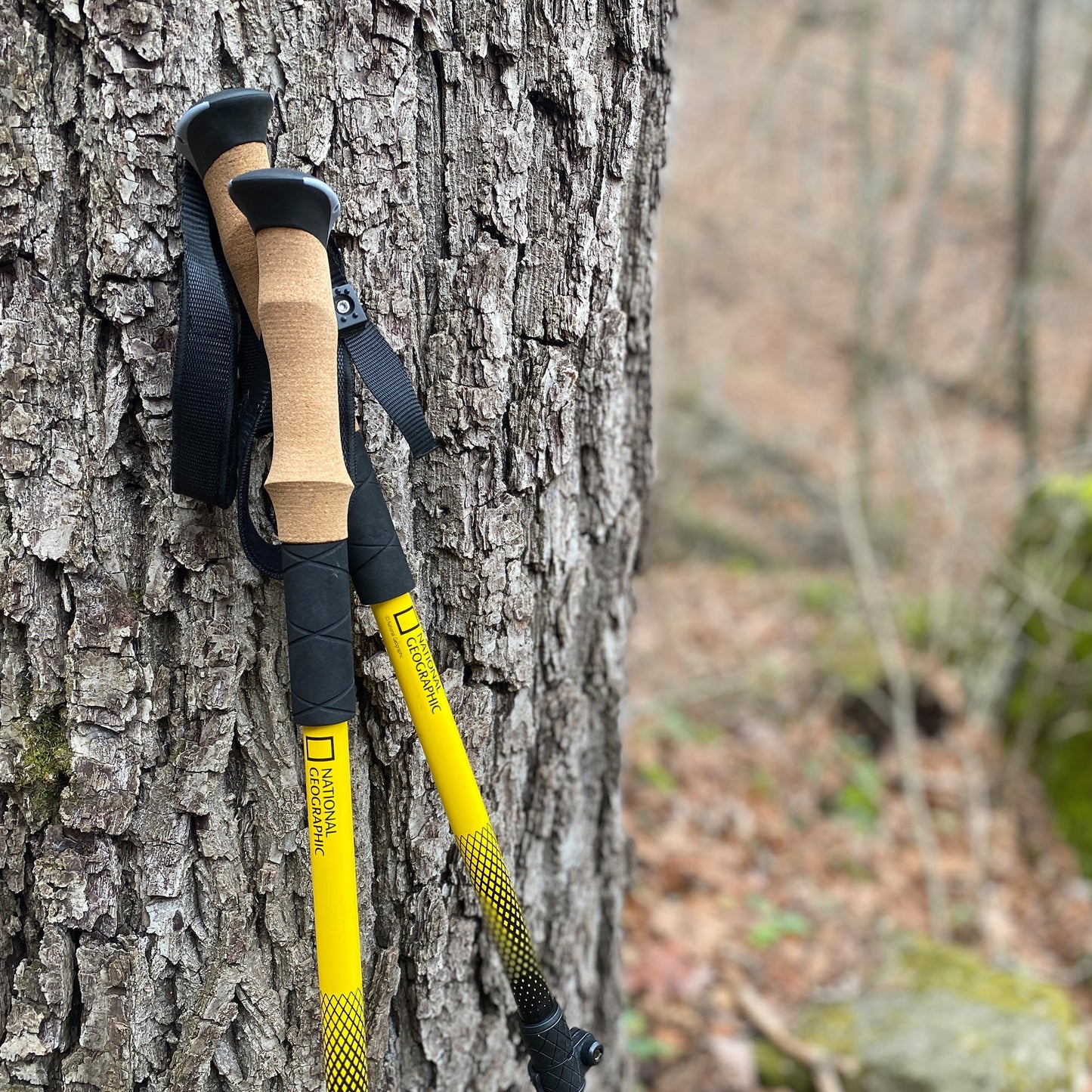 National Geographic Carbon Trekking Poles Set 80‑60500 – Adjustable Hiking Poles for Stability & Comfort