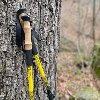 National Geographic Carbon Trekking Poles Set 80‑60500 – Adjustable Hiking Poles for Stability & Comfort