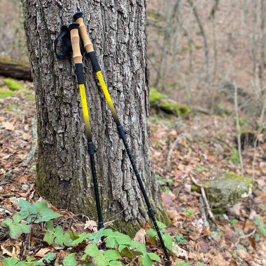 National Geographic Carbon Trekking Poles Set 80‑60500 – Adjustable Hiking Poles for Stability & Comfort