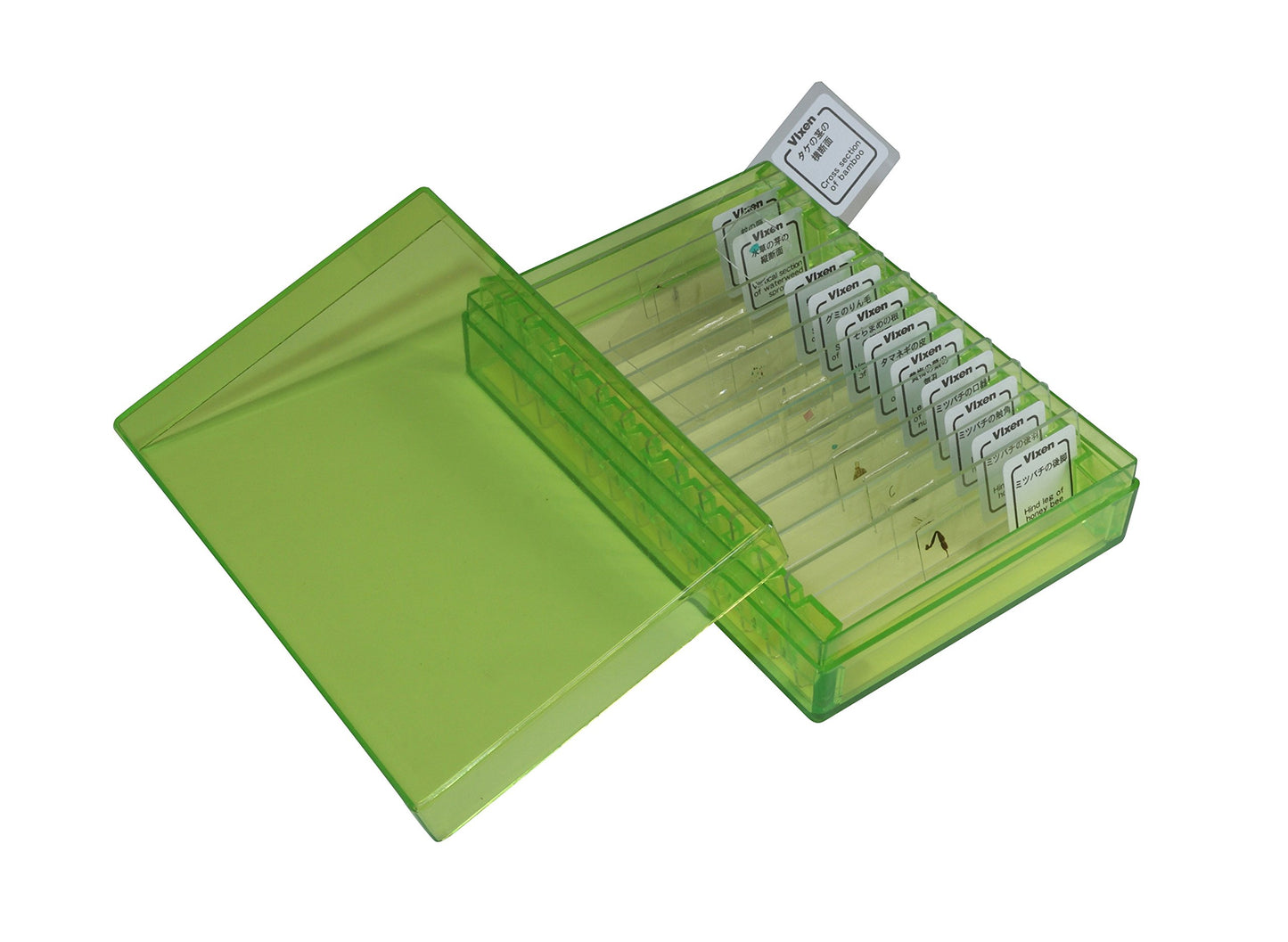 Vixen Prepared Slide Set – 24 Prepared Microscope Slides (ES‑24029)