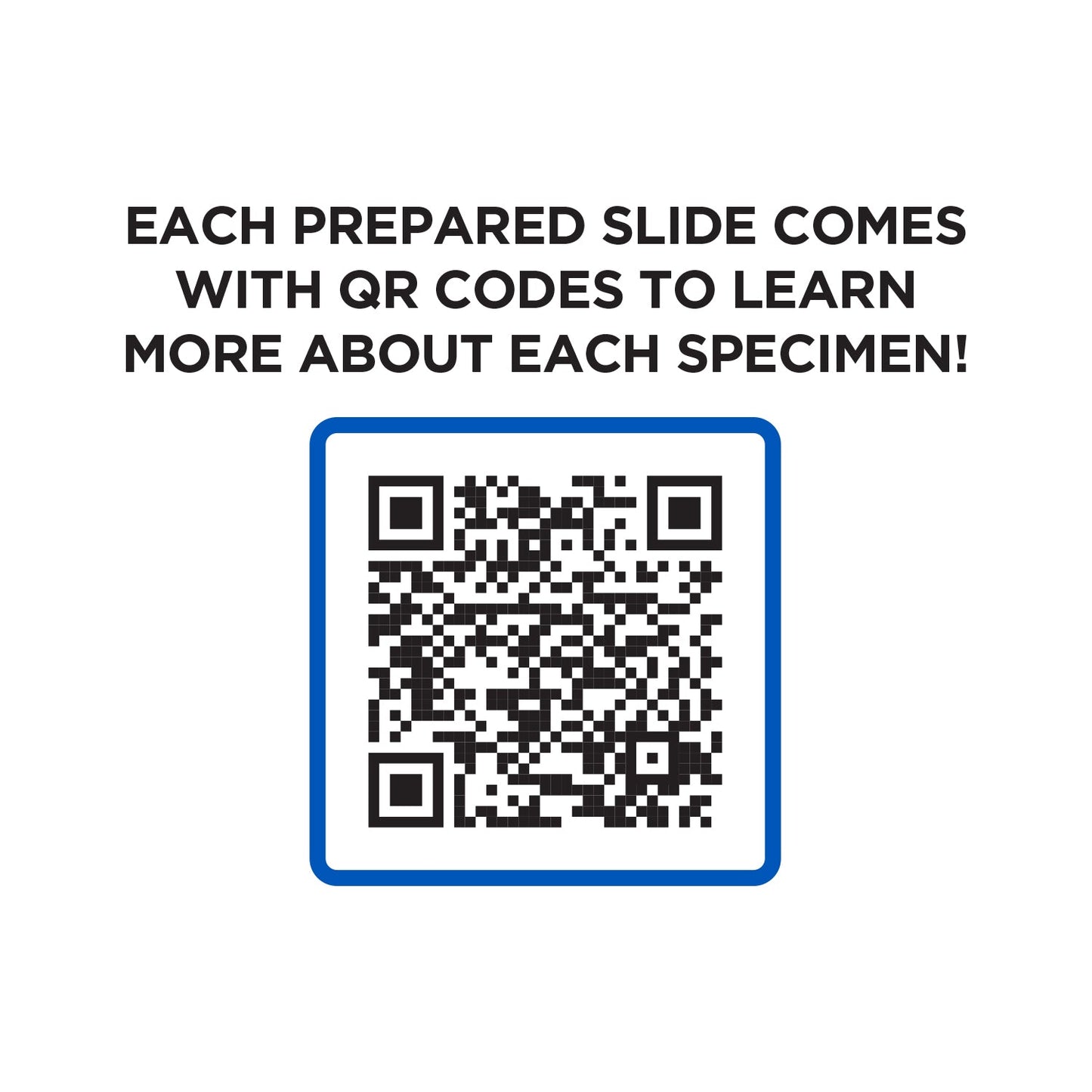 52 Piece Smart Slides Activity Set