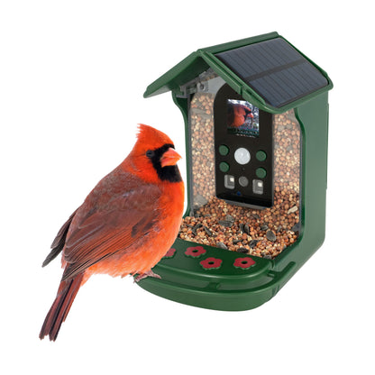 Explore Scientific Wild Bird Feeder Wi-Fi Camera 88-40004 - 4K Bird Watching Camera with Solar Power