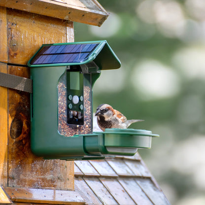 Explore Scientific Wild Bird Feeder Wi-Fi Camera 88-40004 - 4K Bird Watching Camera with Solar Power