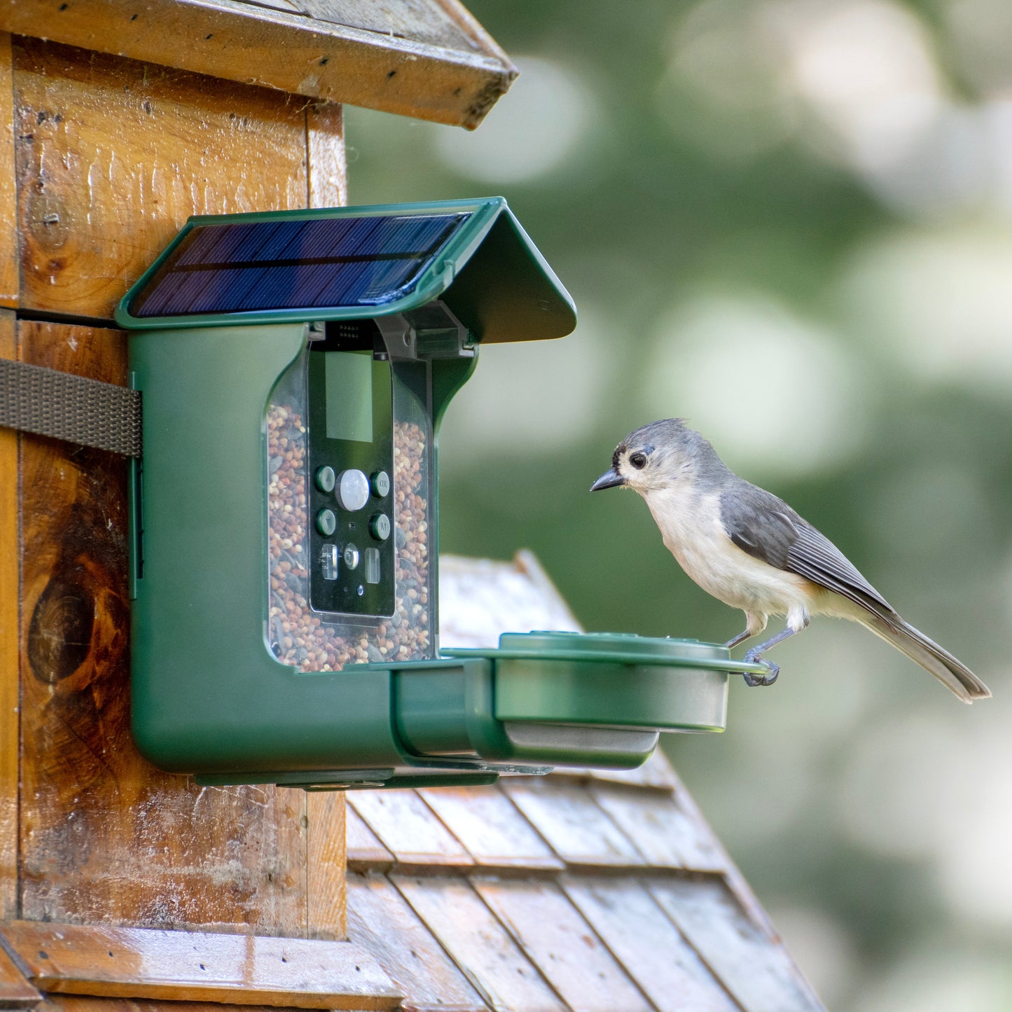 Explore Scientific Wild Bird Feeder Wi-Fi Camera 88-40004 - 4K Bird Watching Camera with Solar Power