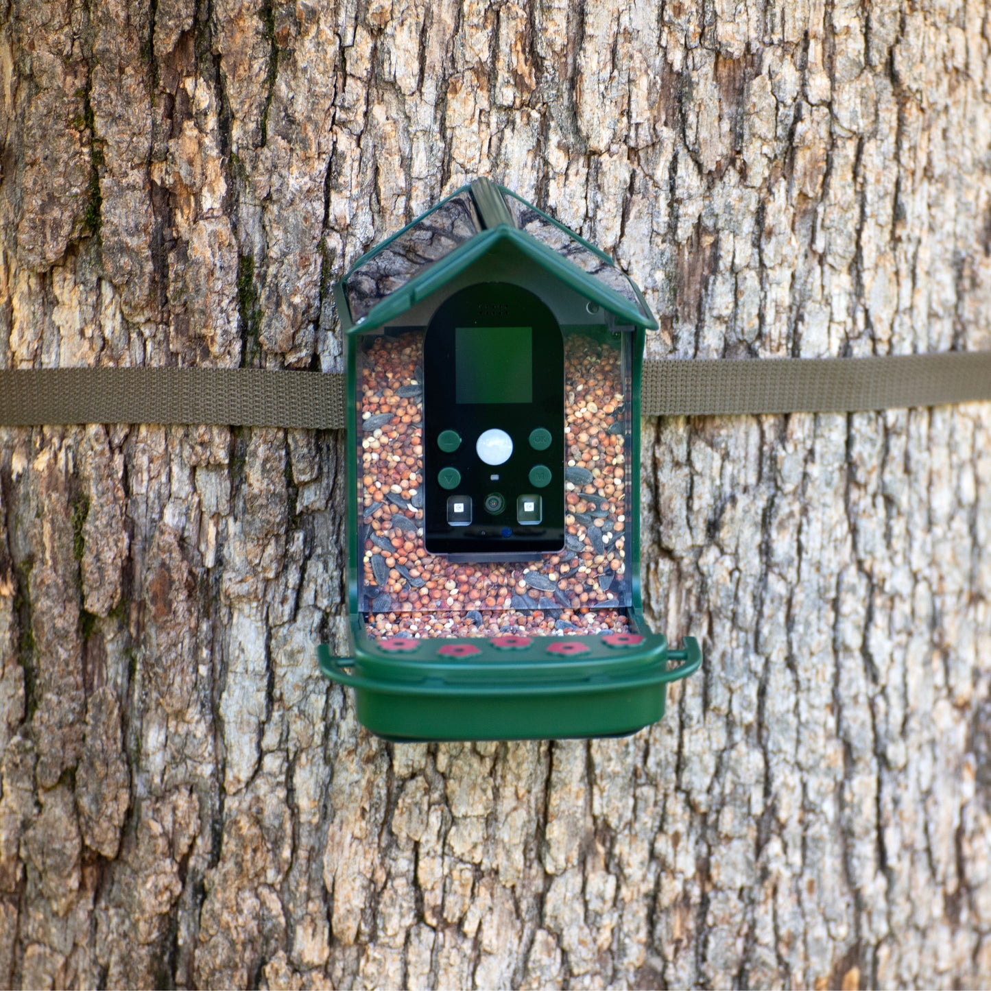 Explore Scientific Wild Bird Feeder Wi-Fi Camera 88-40004 - 4K Bird Watching Camera with Solar Power