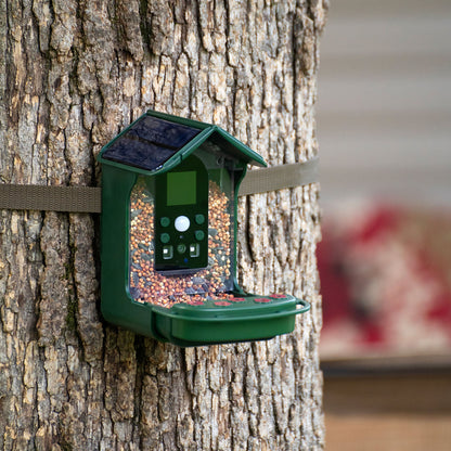 Explore Scientific Wild Bird Feeder Wi-Fi Camera 88-40004 - 4K Bird Watching Camera with Solar Power