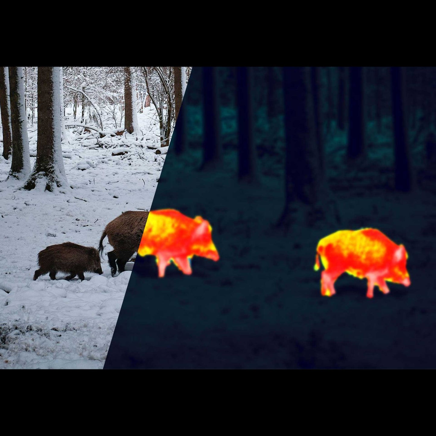 Apex 25mm Thermal Monocular