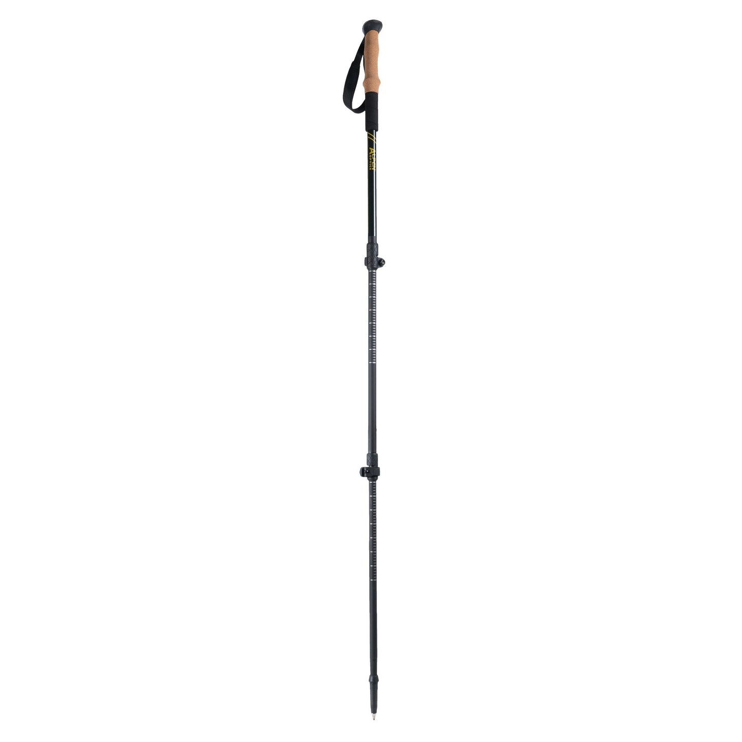 Alpen Carbon Trekking Poles Set 850