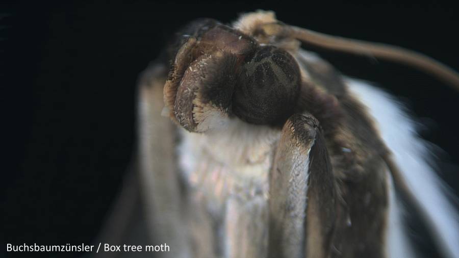 Explore Scientific MicroCam PRO HDMI 59-14180