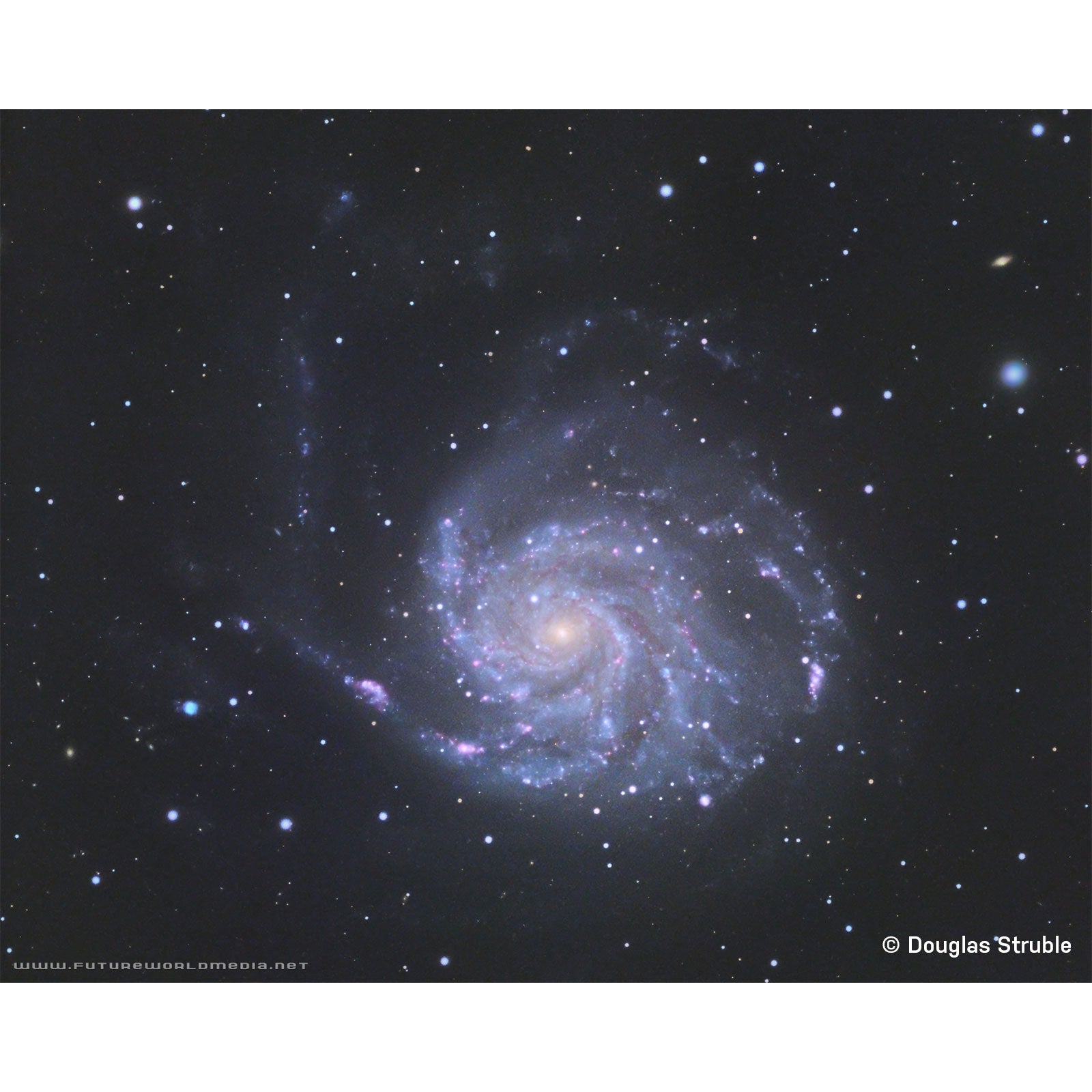 TED15208CF-HEX33