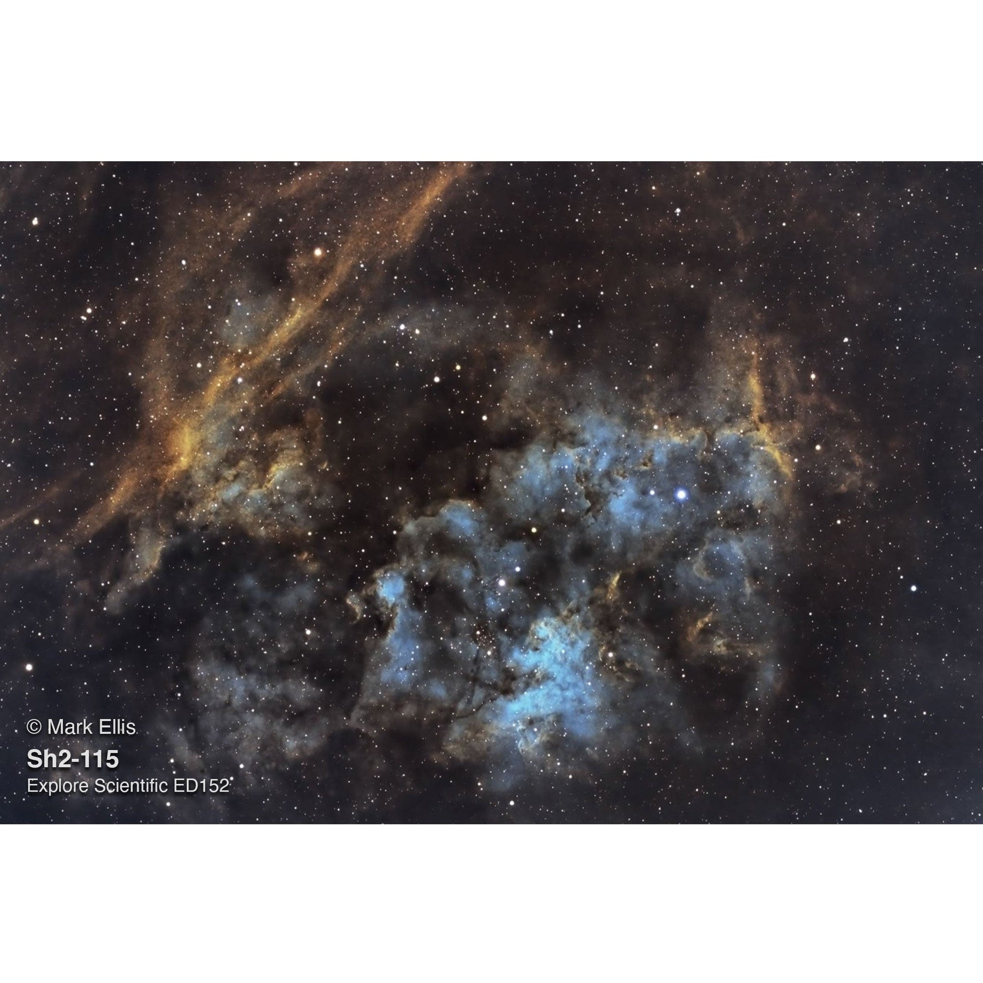 TED15208CF-HEX33