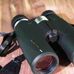 Alpen Teton 8x42 Waterproof ED Binoculars — Premium Abbe Prism Binoculars for Crystal-Clear Birding