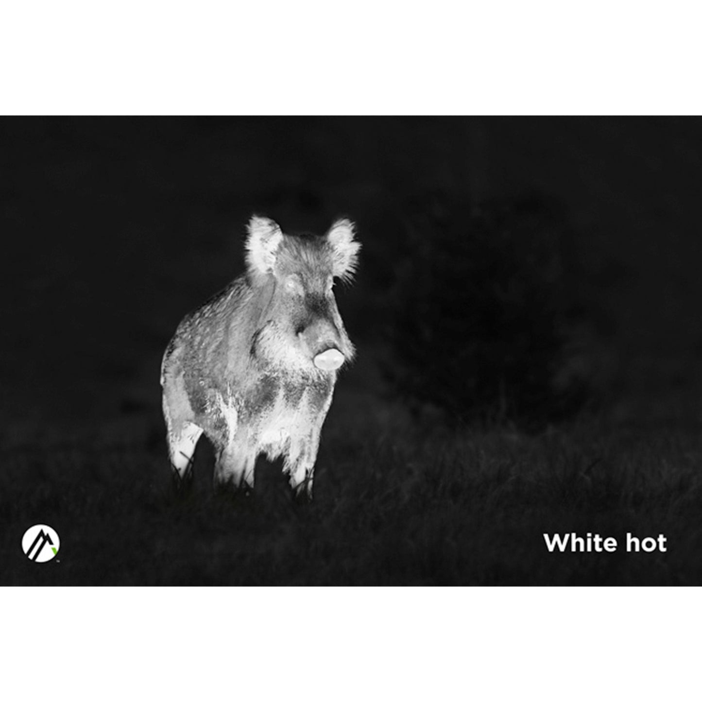 Apex 35mm Thermal Monocular