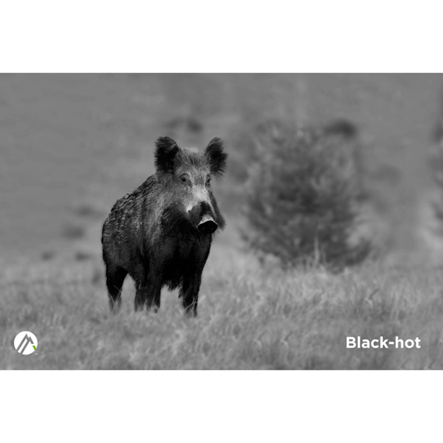 Apex 35mm Thermal Monocular