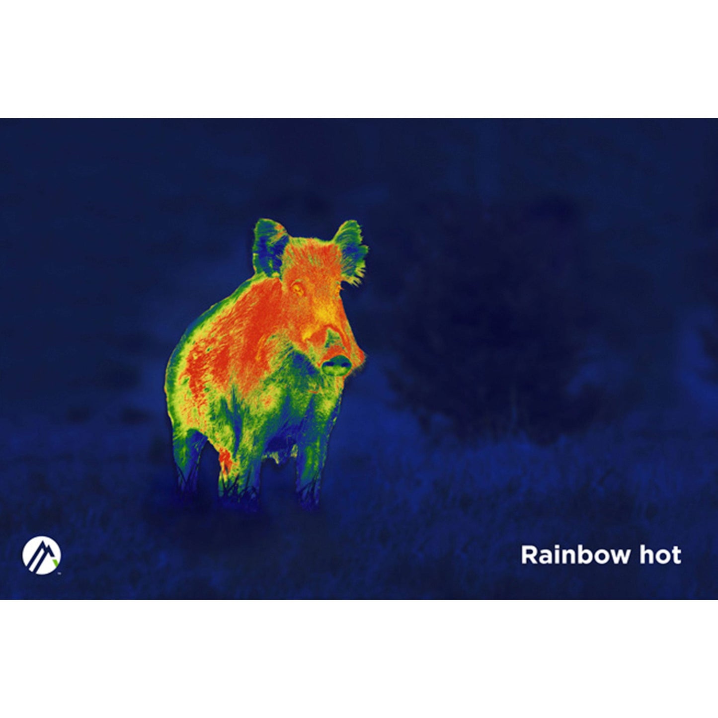 Apex 54mm Thermal Monocular