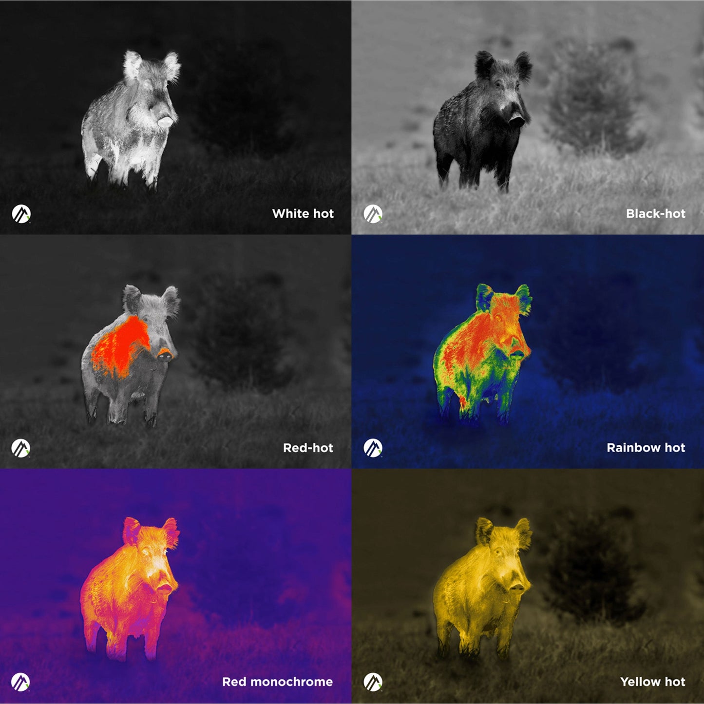 Apex 25mm Thermal Monocular