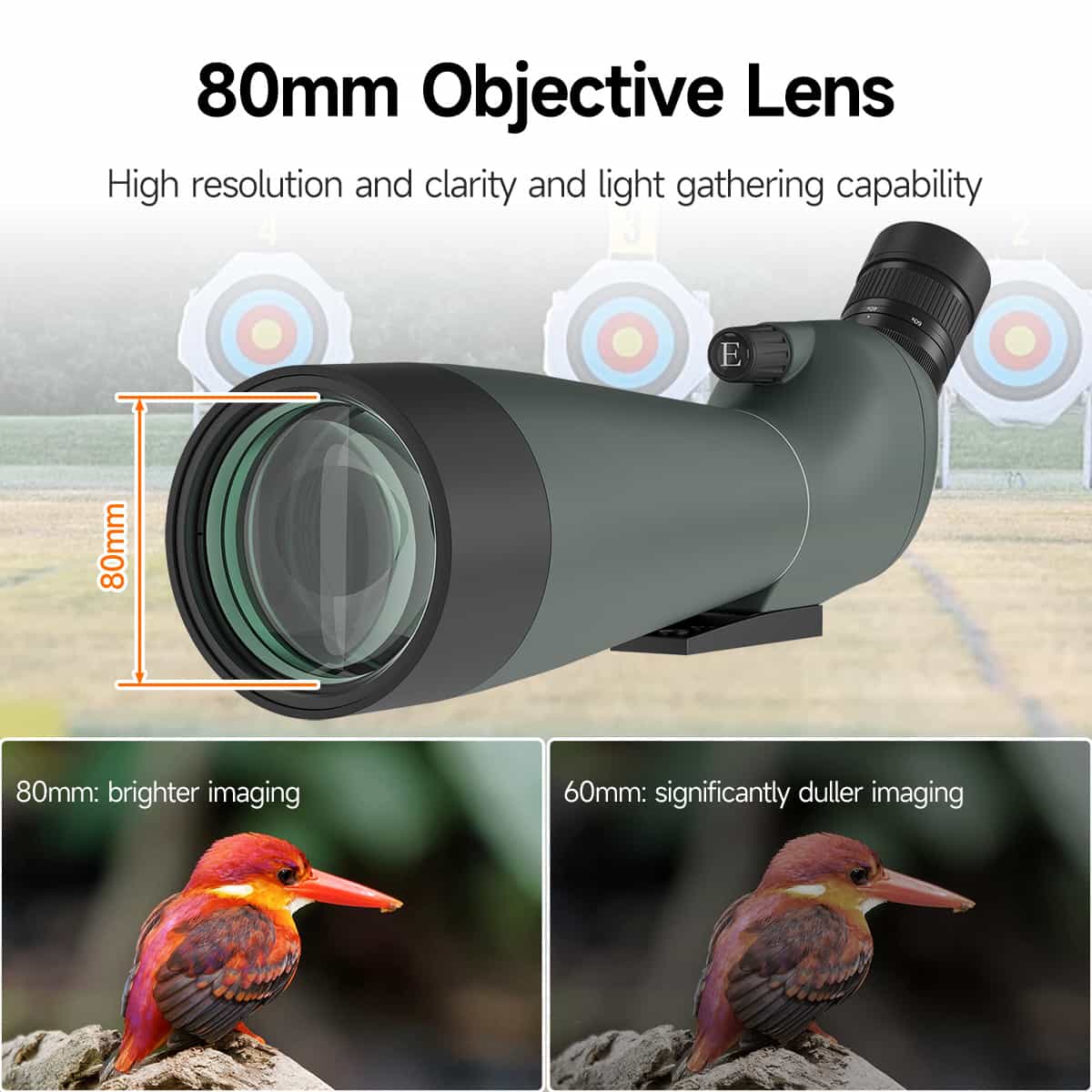 SV28A New Version 20-60X80 Spotting Scope For Archery Shooting, Target Observing and Birding Scenarios