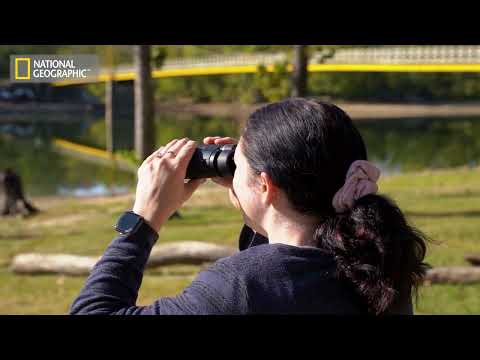 Excursion Series 10x42 Binoculars