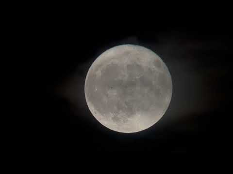 Hestia Smartphone-Based Telescope with Full-Size Tripod and Solar Filter