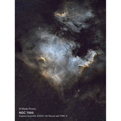 Explore Scientific FirstLight 130 mm Newtonian Telescope + iEXOS-100 GoTo Mount (FL-N130600-IEXOS)