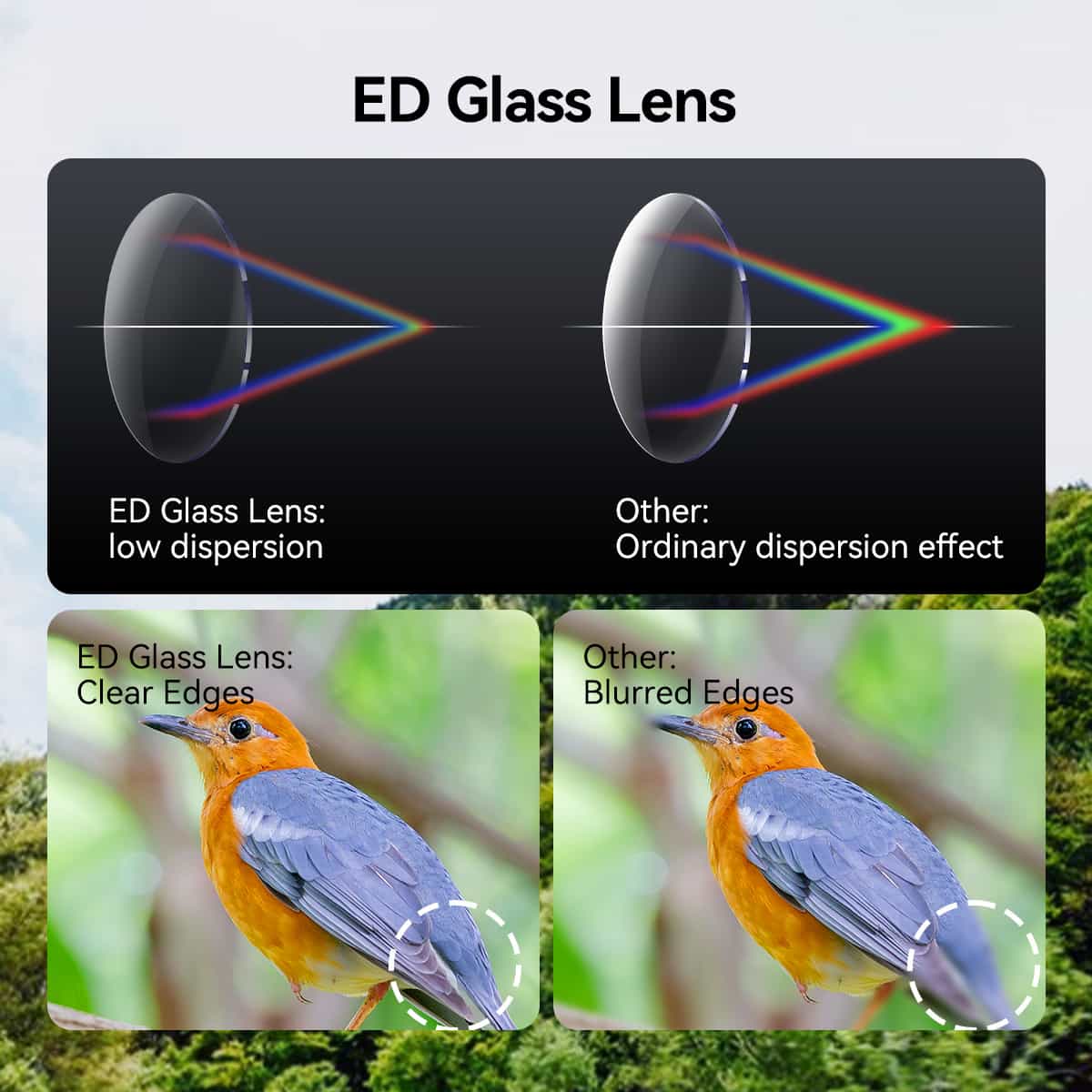 SVBONY SV202 Upgraded ED Binoculars 8x32/8x42/10x42 Bak4 Prism Wide Field of View IPX7 Waterproof Fogproof for Adults Bird Watching